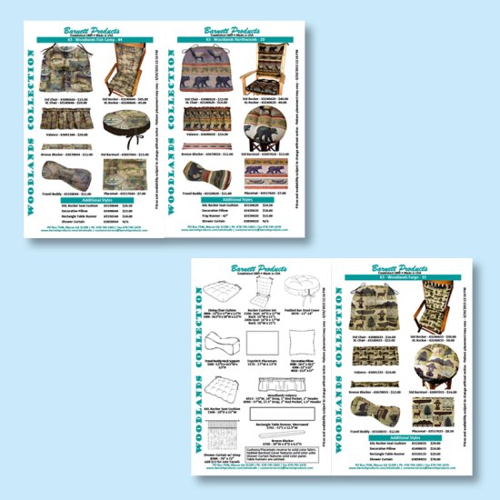 (image for) Brochures - 5-1/2x8-1/2