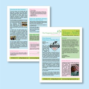 (image for) 2 Page Newsletter - 8½x11 Letter Size